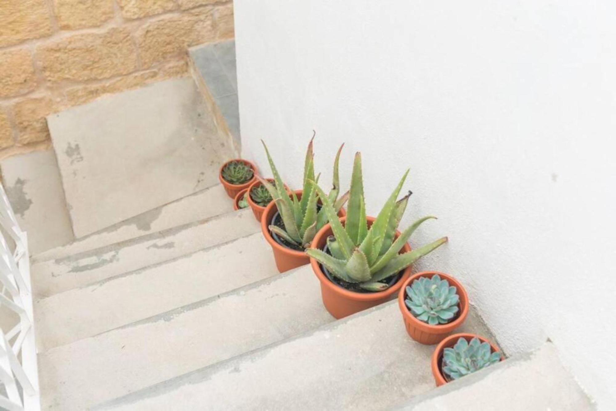 Authentic Gf Apartment With Terrace At The 3 Cities Marina Cospicua Εξωτερικό φωτογραφία